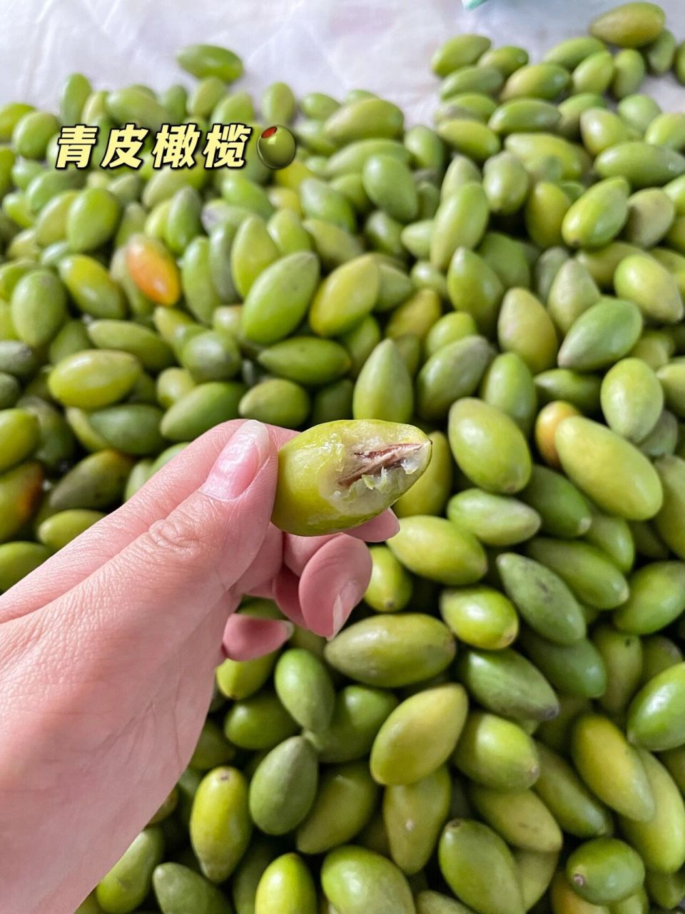 其中会不会有橄榄而且还是生吃的橄榄呢?