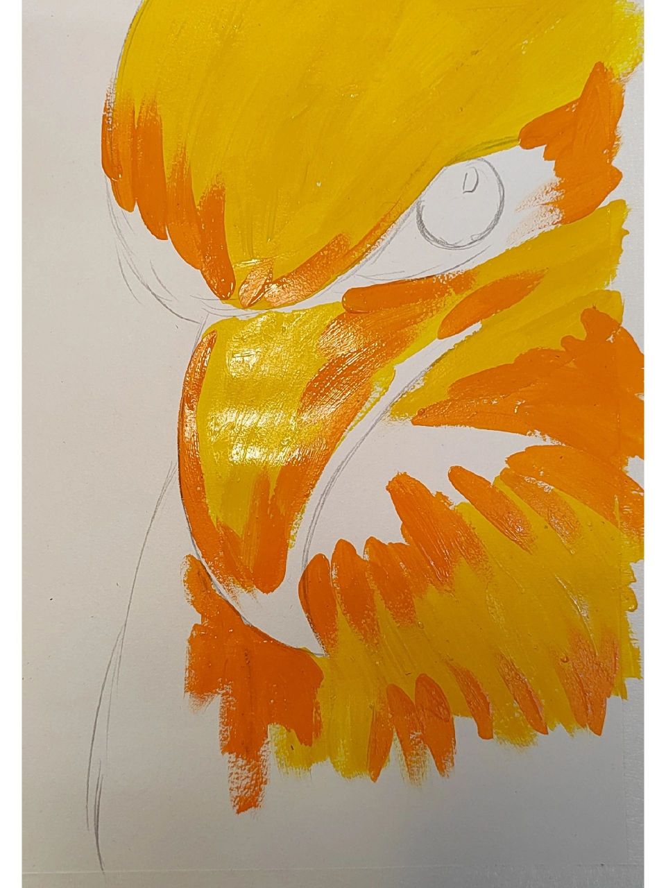 简单水粉动物老鹰附步骤图 临青阳 适合8,9岁孩子.