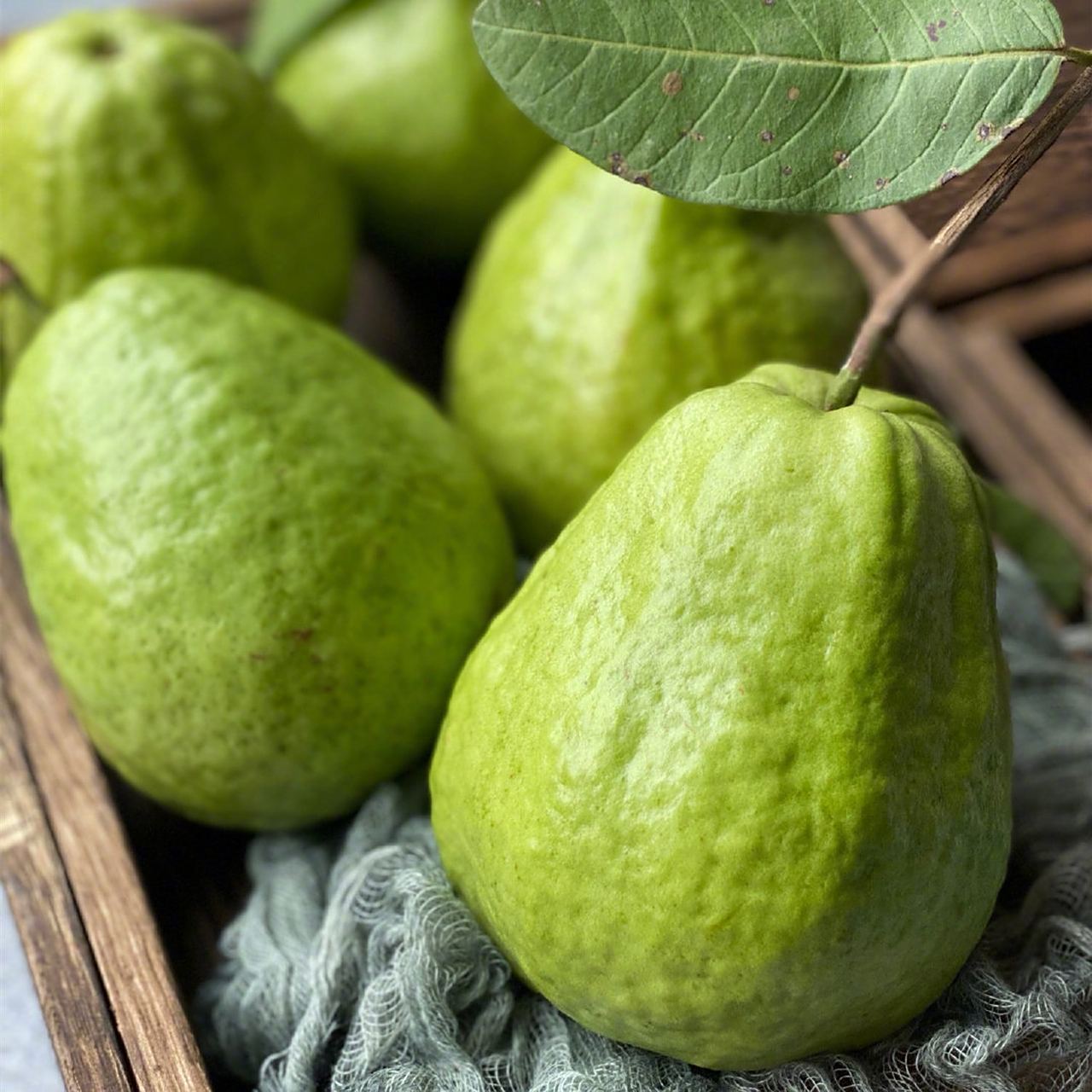 福建漳州红心芭乐 生熟两吃 低脂清香 【推荐理由】新鲜采摘,饱满多汁