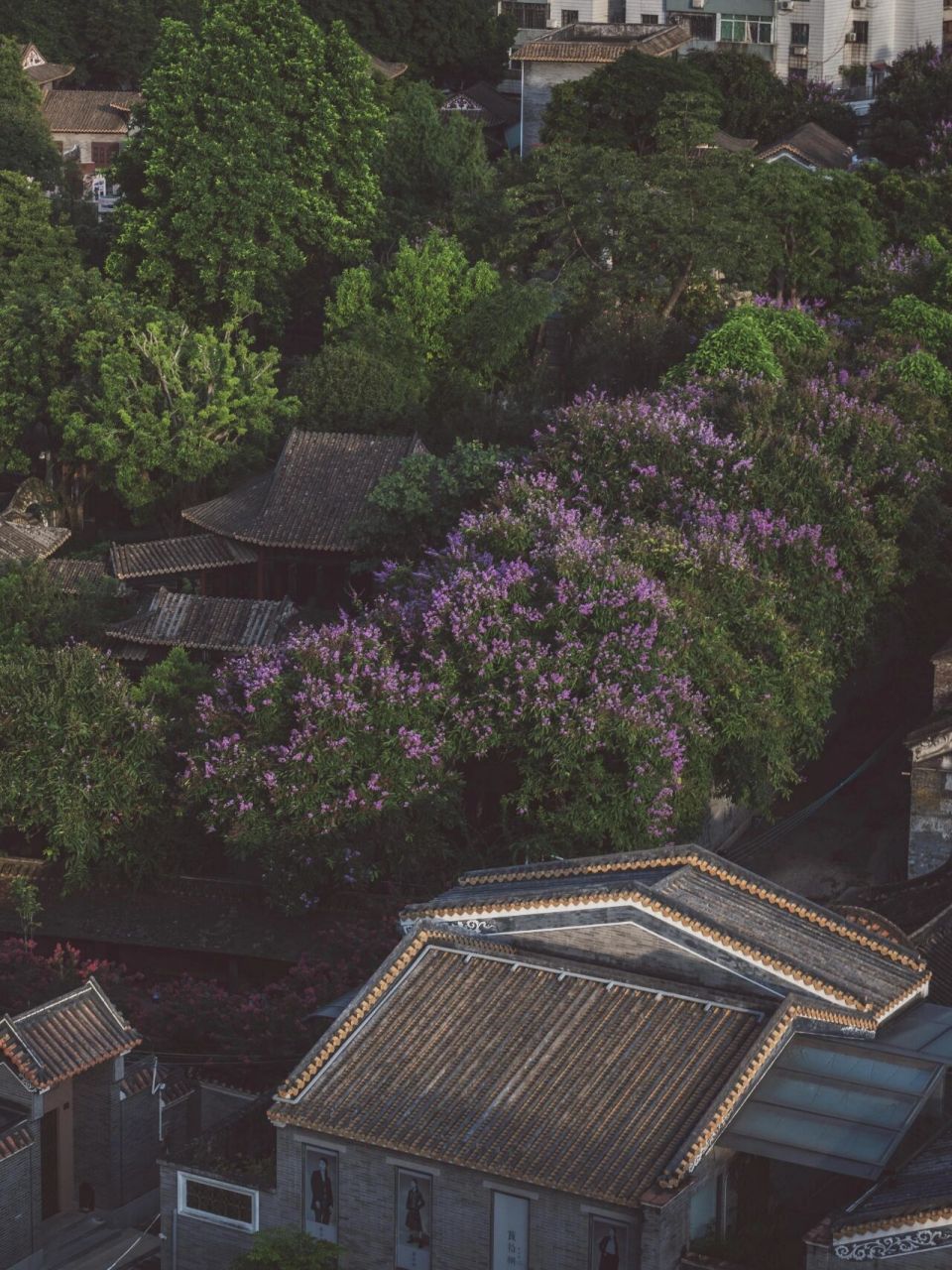 俯瞰清晖园,好住好食,顺德必住的特色酒店 顺德香云纱园林酒店是家