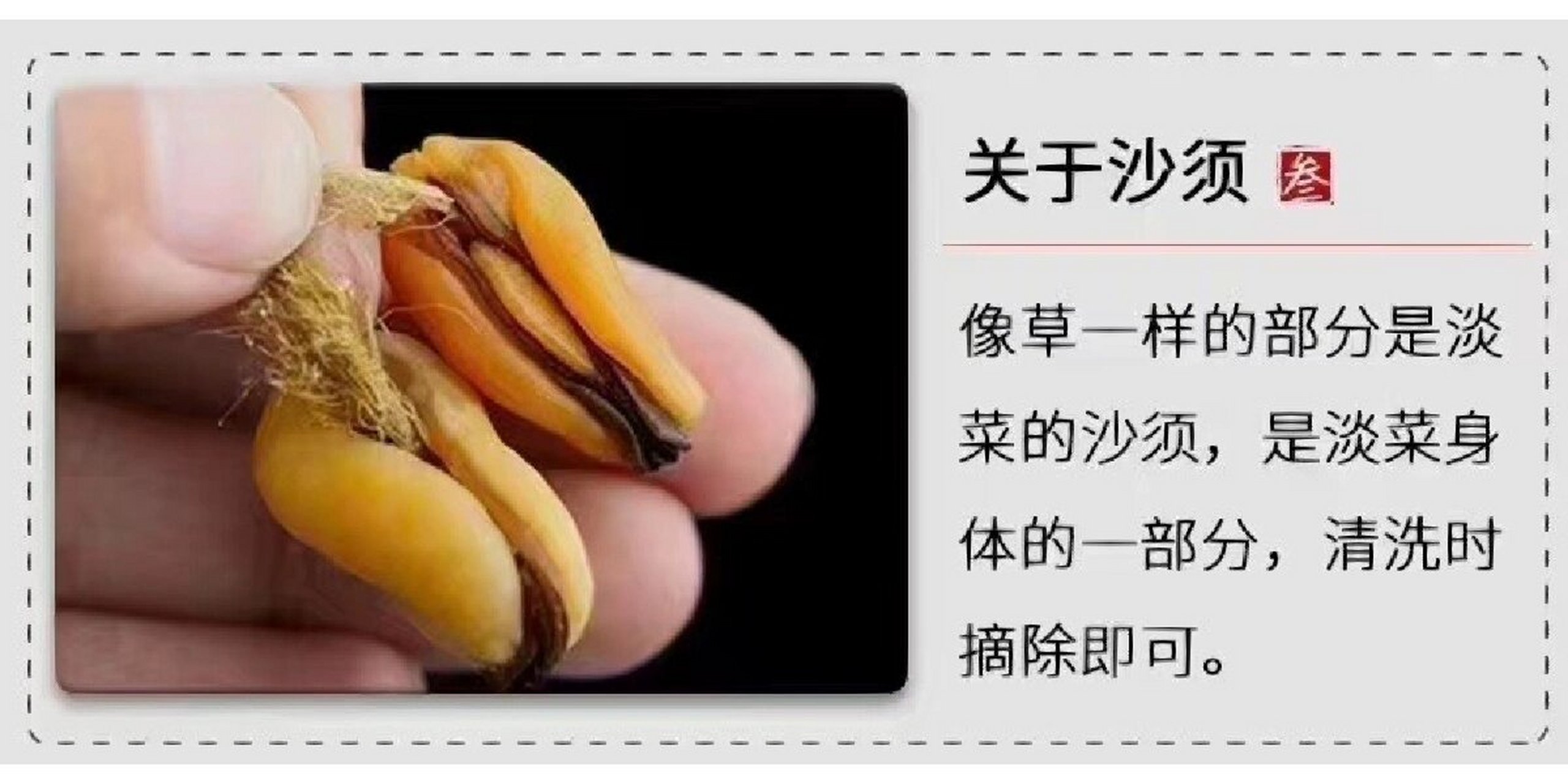 淡菜干俗称61中海69鸡蛋95 蛋白质含量很高,可以用来煮粥或61