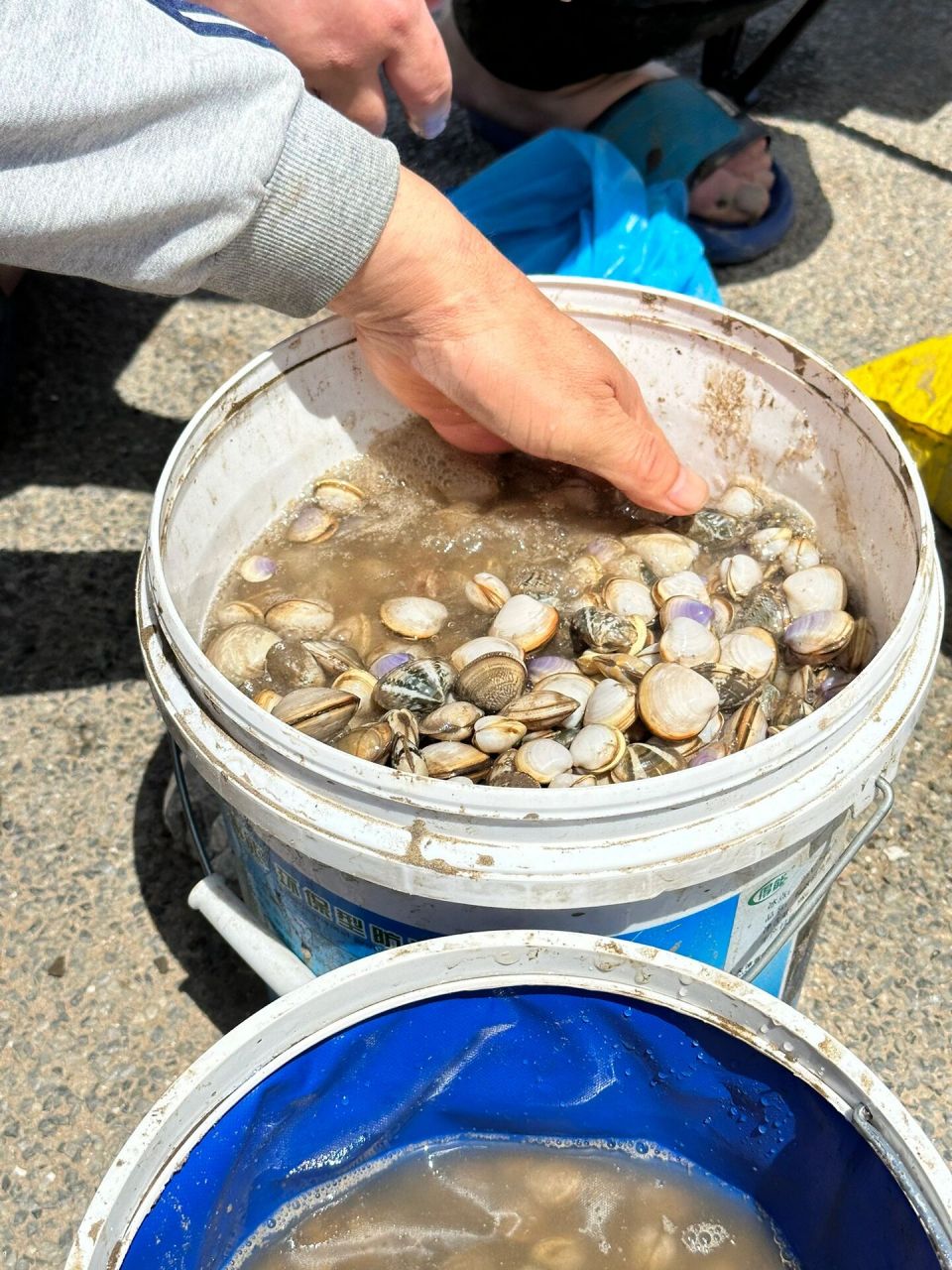 东疆湾赶海图片