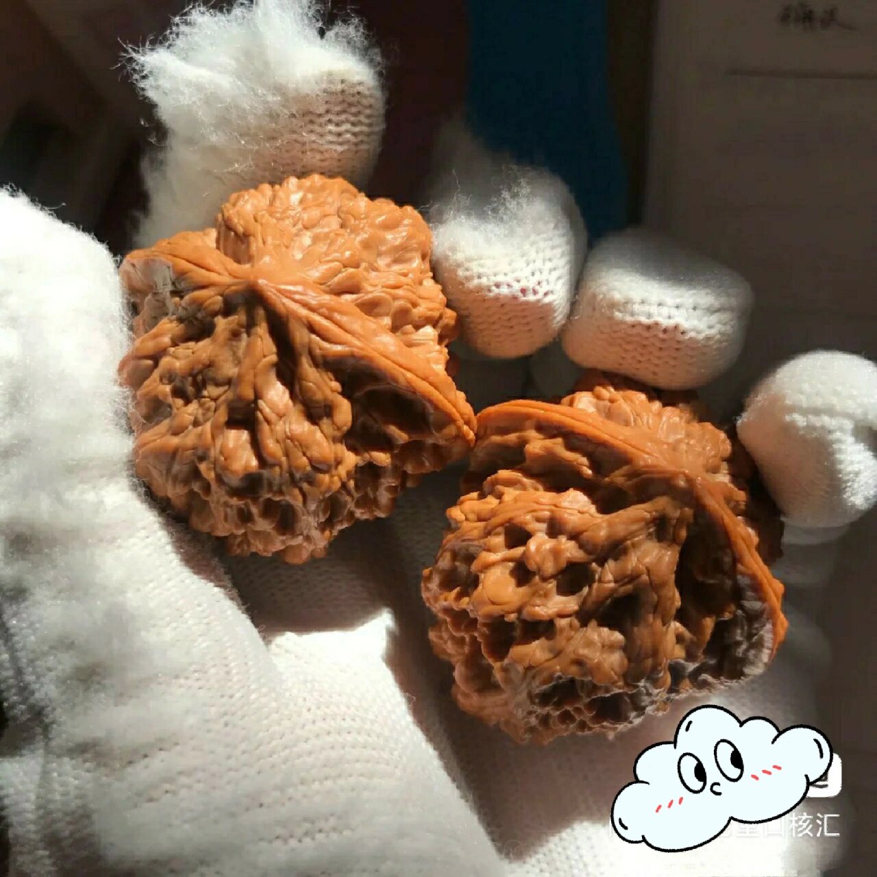 文玩核桃品种介绍(八十一)野牛狮子头 96窝底狮子头,因其明显的底部