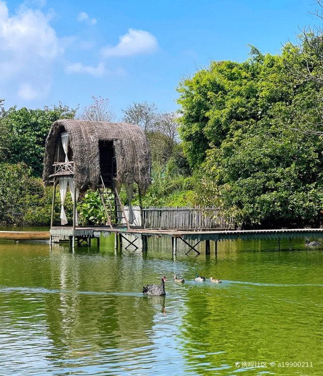 湛江市天鹅湖风景区图片