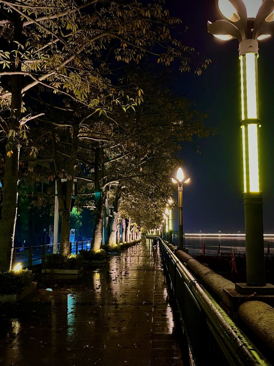 22|路灯 叶间 下雨天 湖边