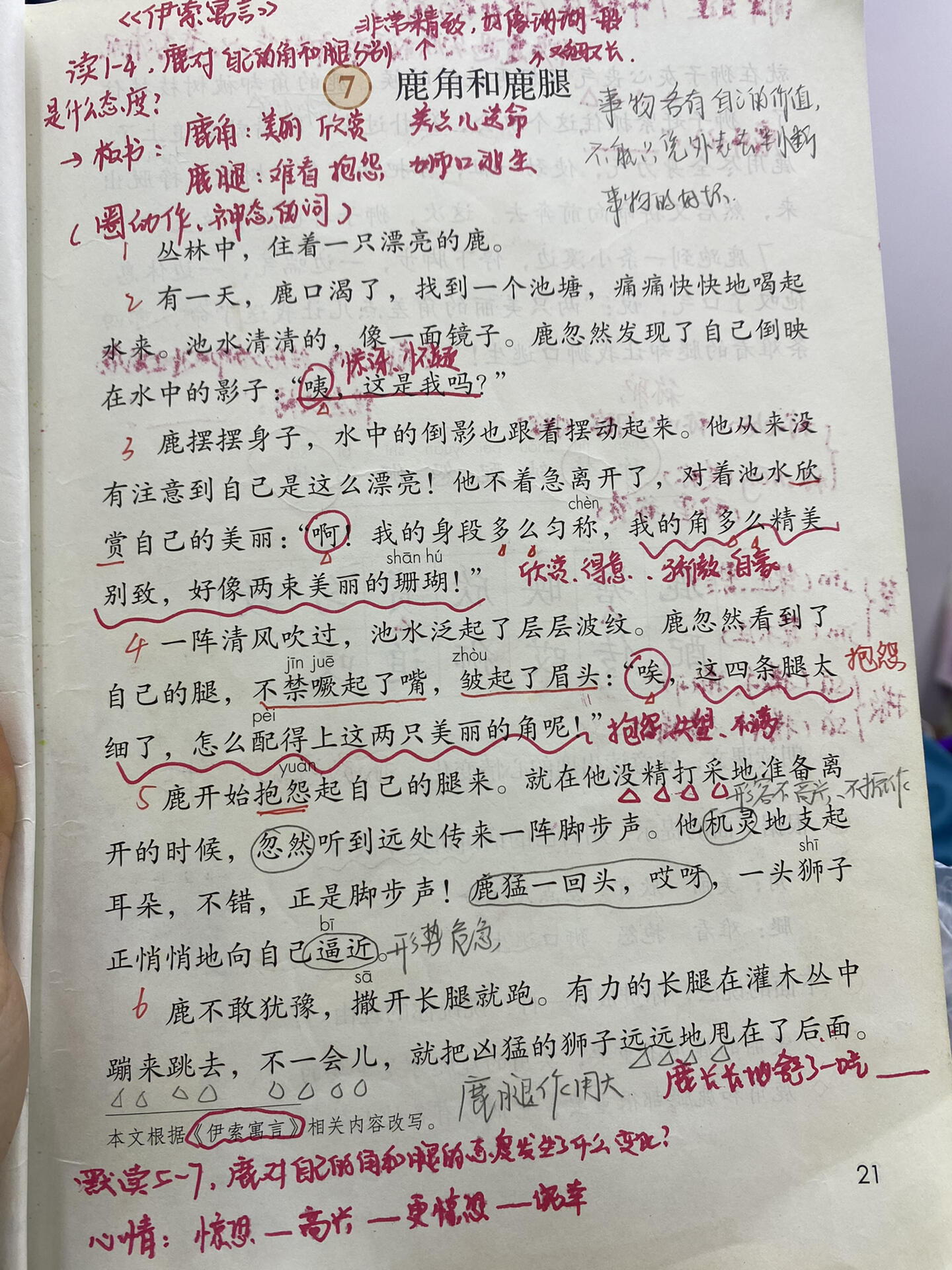 《鹿角和鹿腿》作业图片