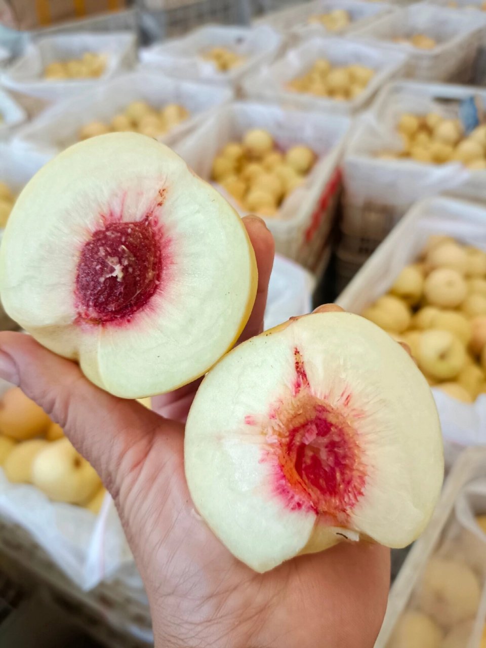 红叶冬桃99超级好吃 脆脆甜甜 回购率巨多 蒙阴红叶冬桃99脆甜