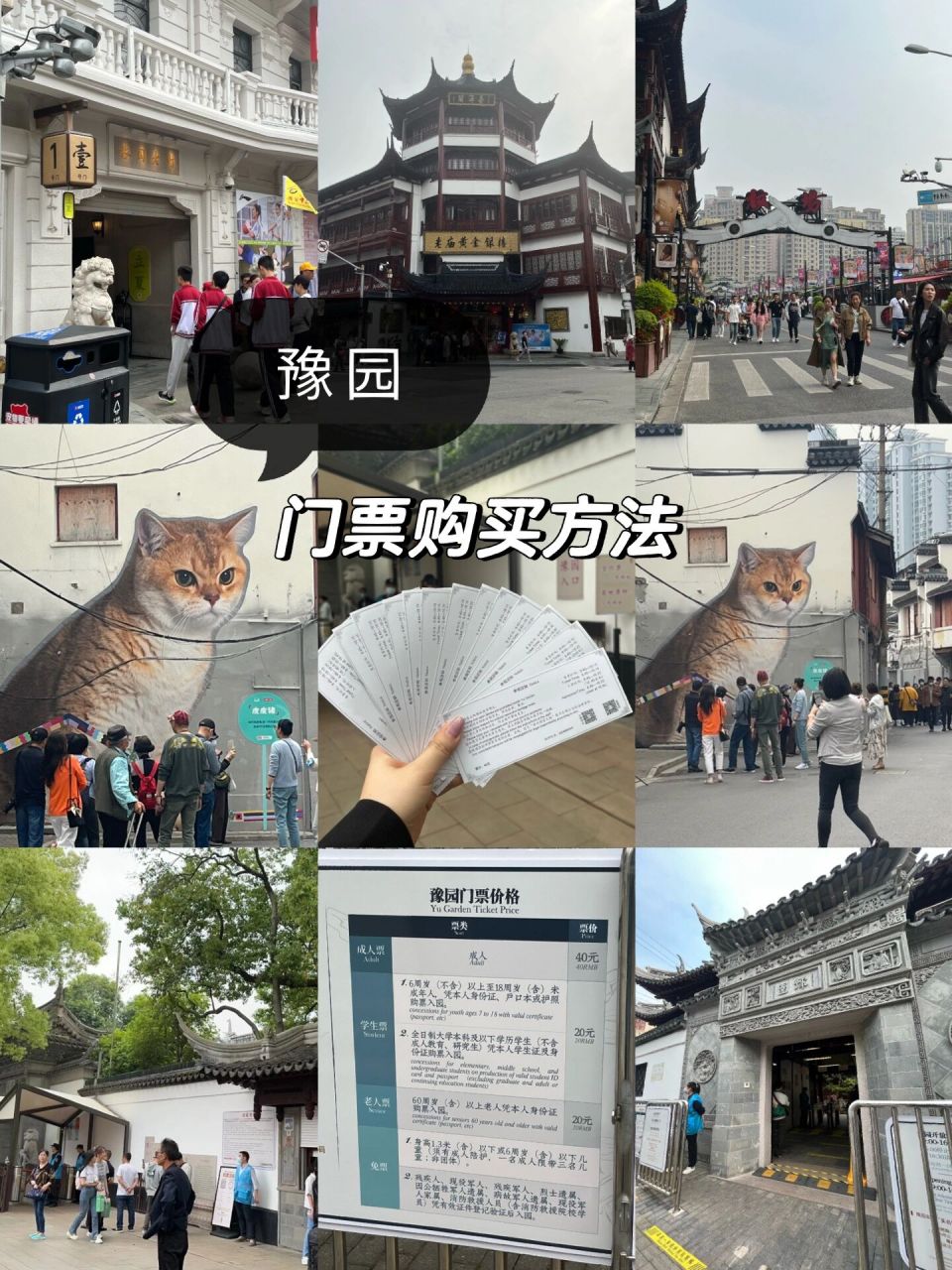 记得点赞收藏呀00 - 99豫园门票有2种购买方法: 11566线上