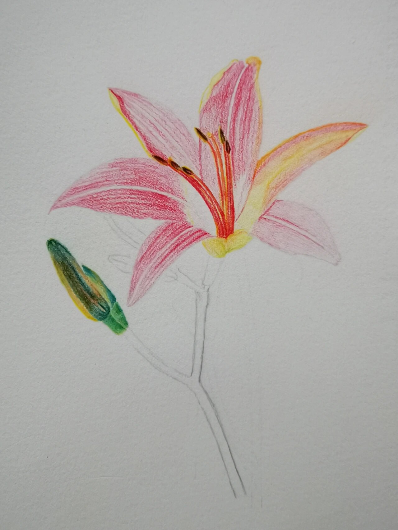 萱草的别名也叫忘忧草,花语是放下忧愁,只记得开心快乐的事情.