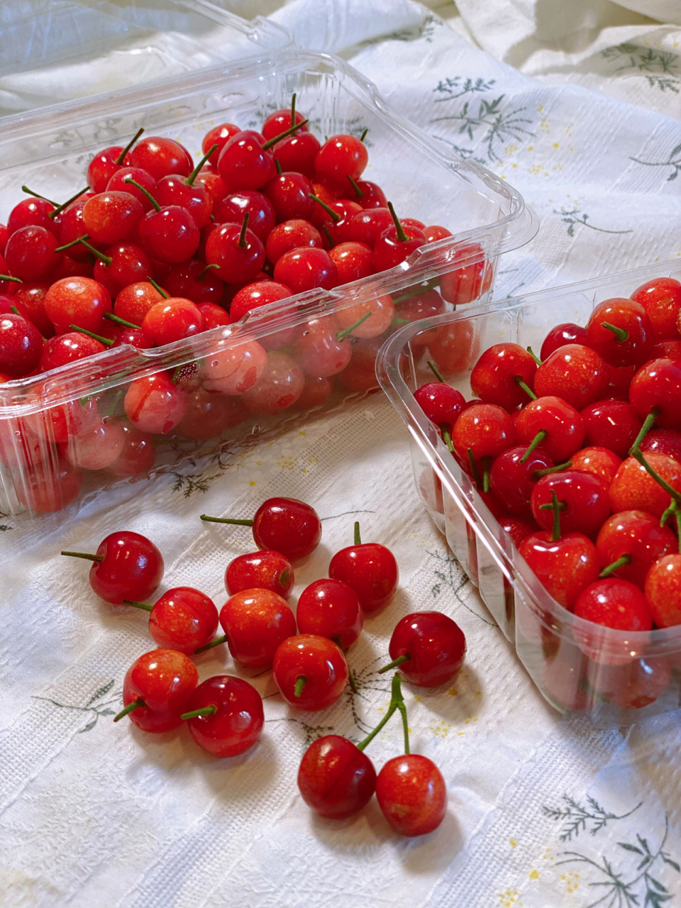 夏日水果97颜值推荐国产小樱桃 90儿时味道の本地小樱桃 被誉为