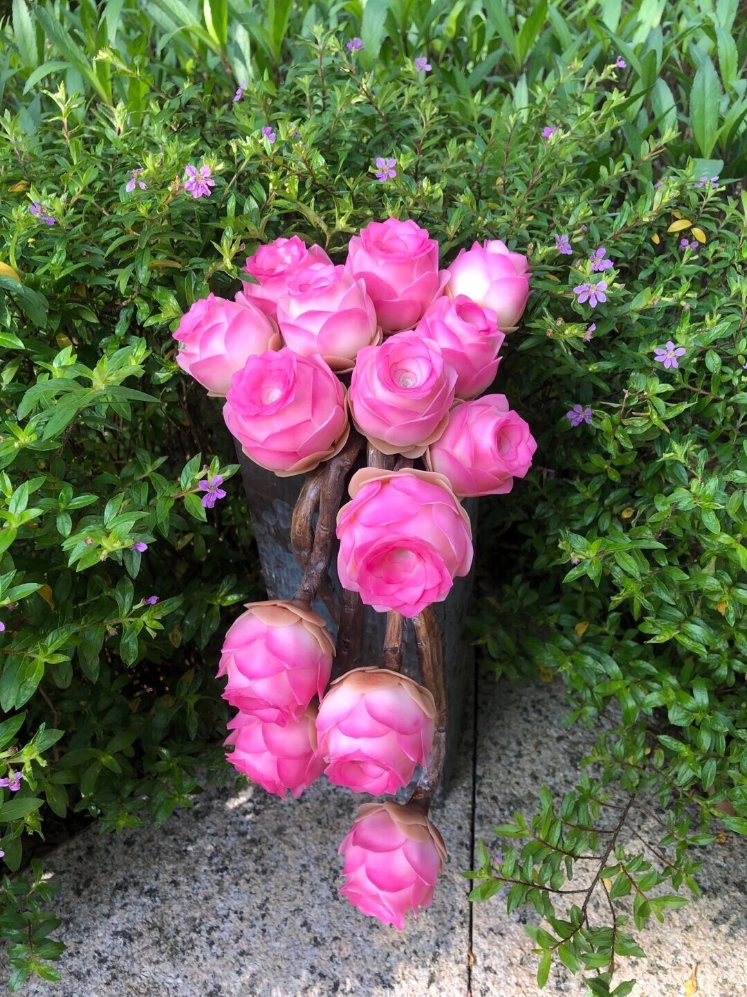 用粘土做100种多肉