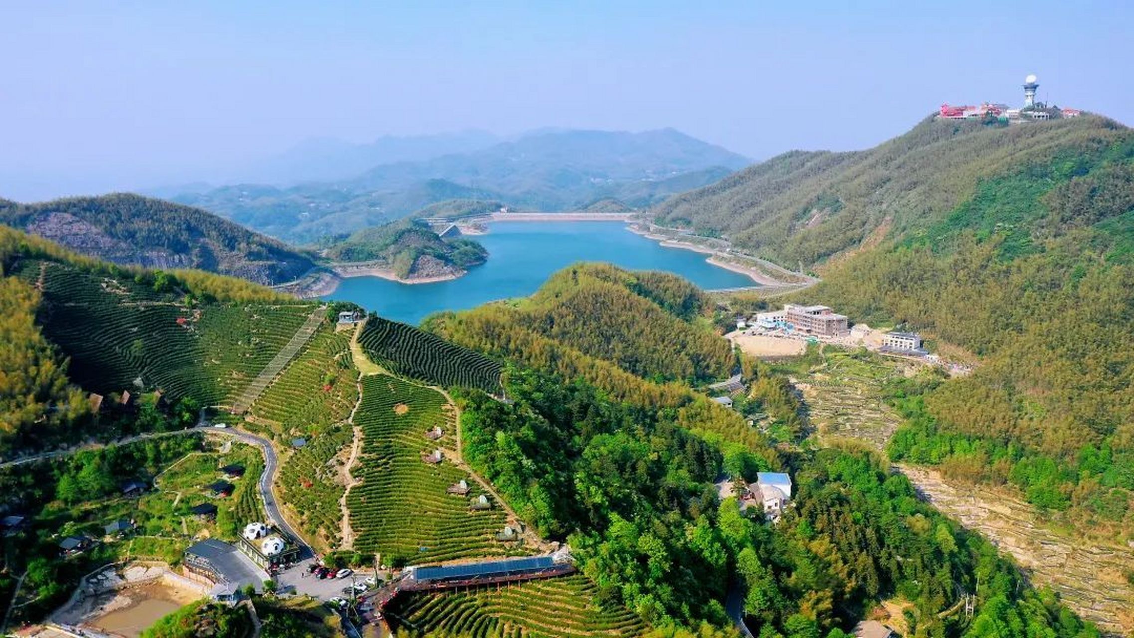 芬芳在望茶香满城# 【春光无限好 不如采茶去】 眼下,黑麋峰星空茶园