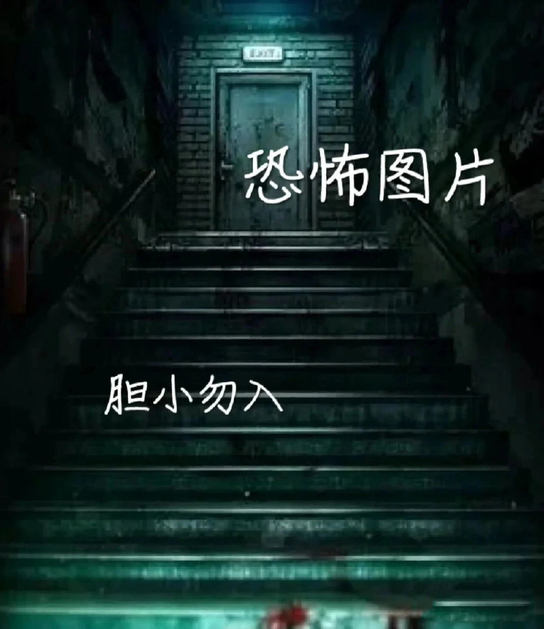 恐怖图片(胆小勿入)