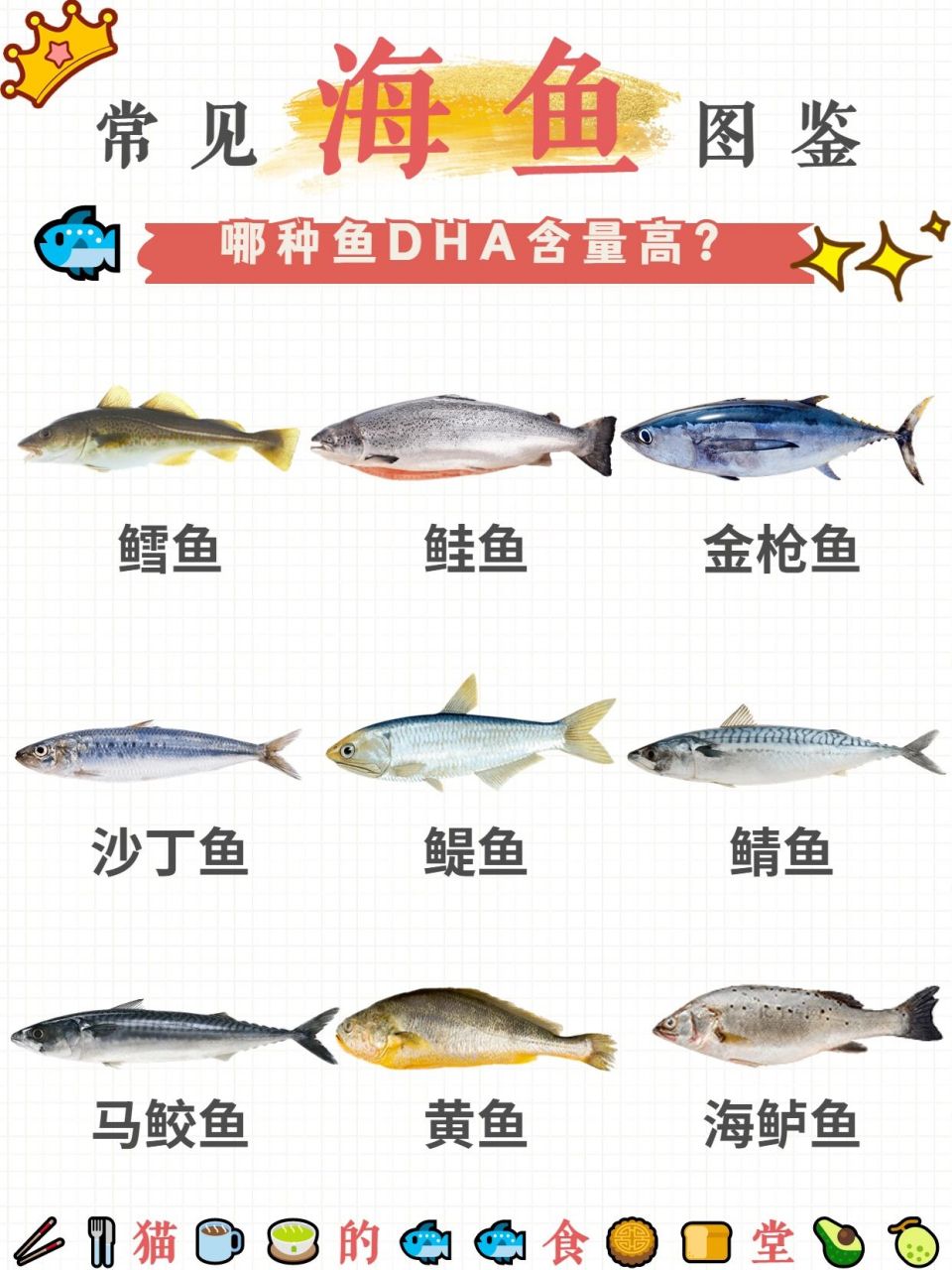 『95科普』常见海鱼的种类 哪种dha含量高? 夏天马上要到啦!