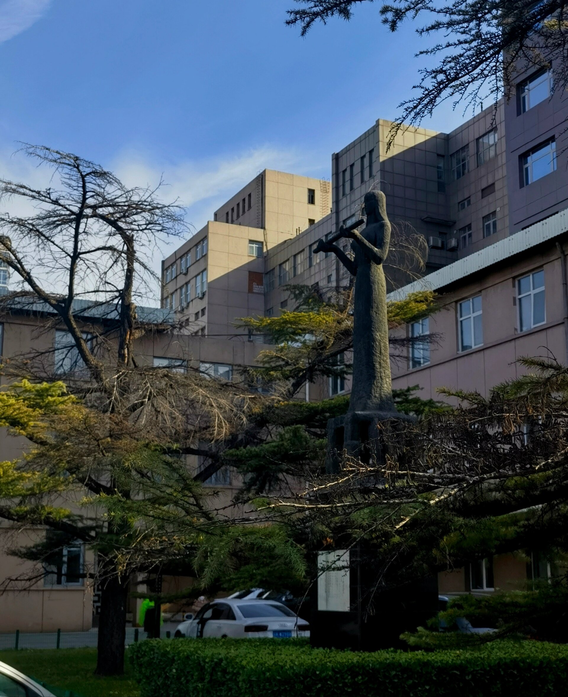 包含北京肿瘤医院、全程透明收费号贩子挂号,安全快速有效的词条