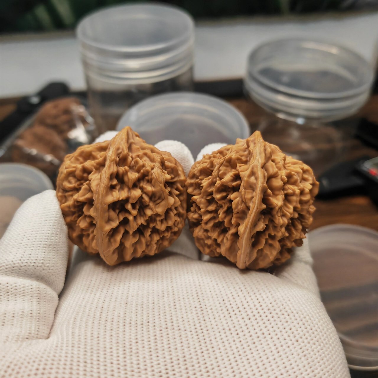 文玩核桃,状元冠 43尺状元冠,福利价格