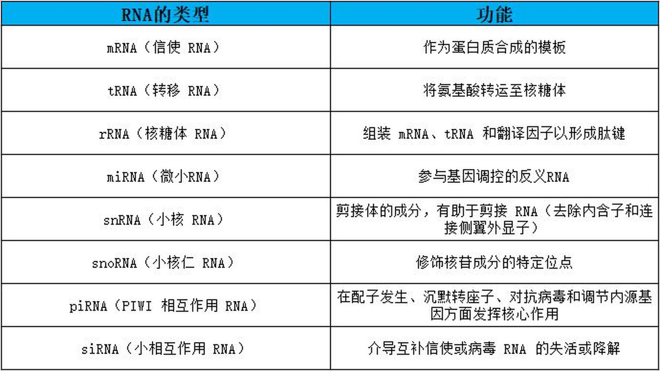 rna 的类型:结构和功能 rna是由四种不同的核苷酸组成的线性结构