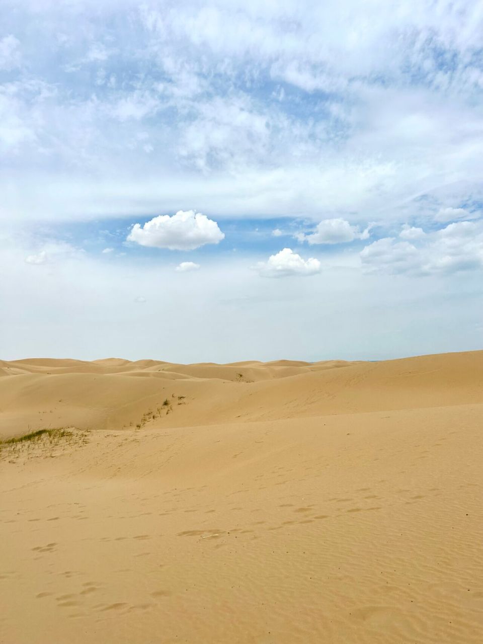 玩过响沙湾(仙沙岛),给您写出这份攻略 响沙湾就是一个沙漠主题的游乐