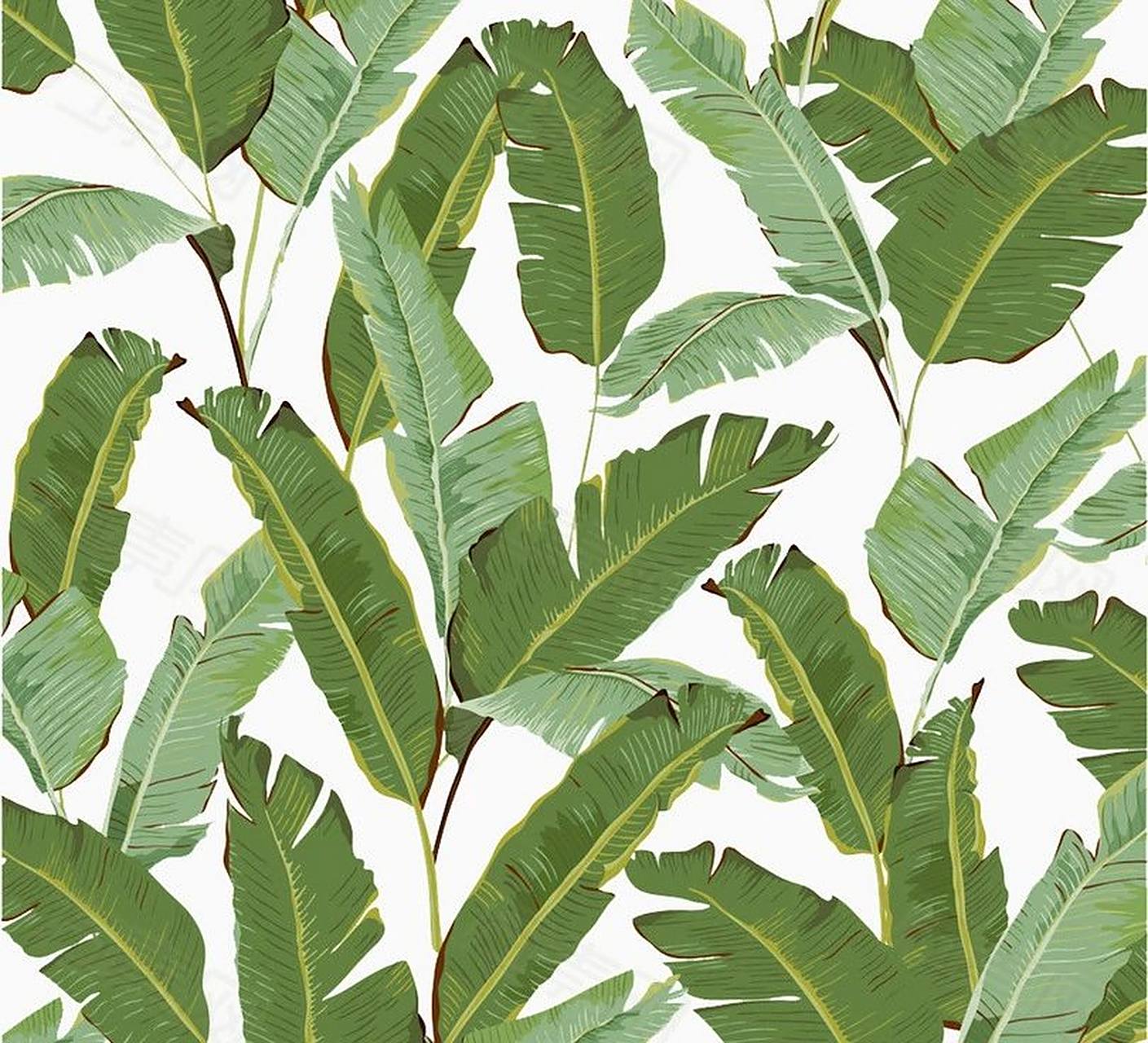 芭蕉纹样设计面料图案素材热带植物壁纸 中国古典诗词意象中有一种