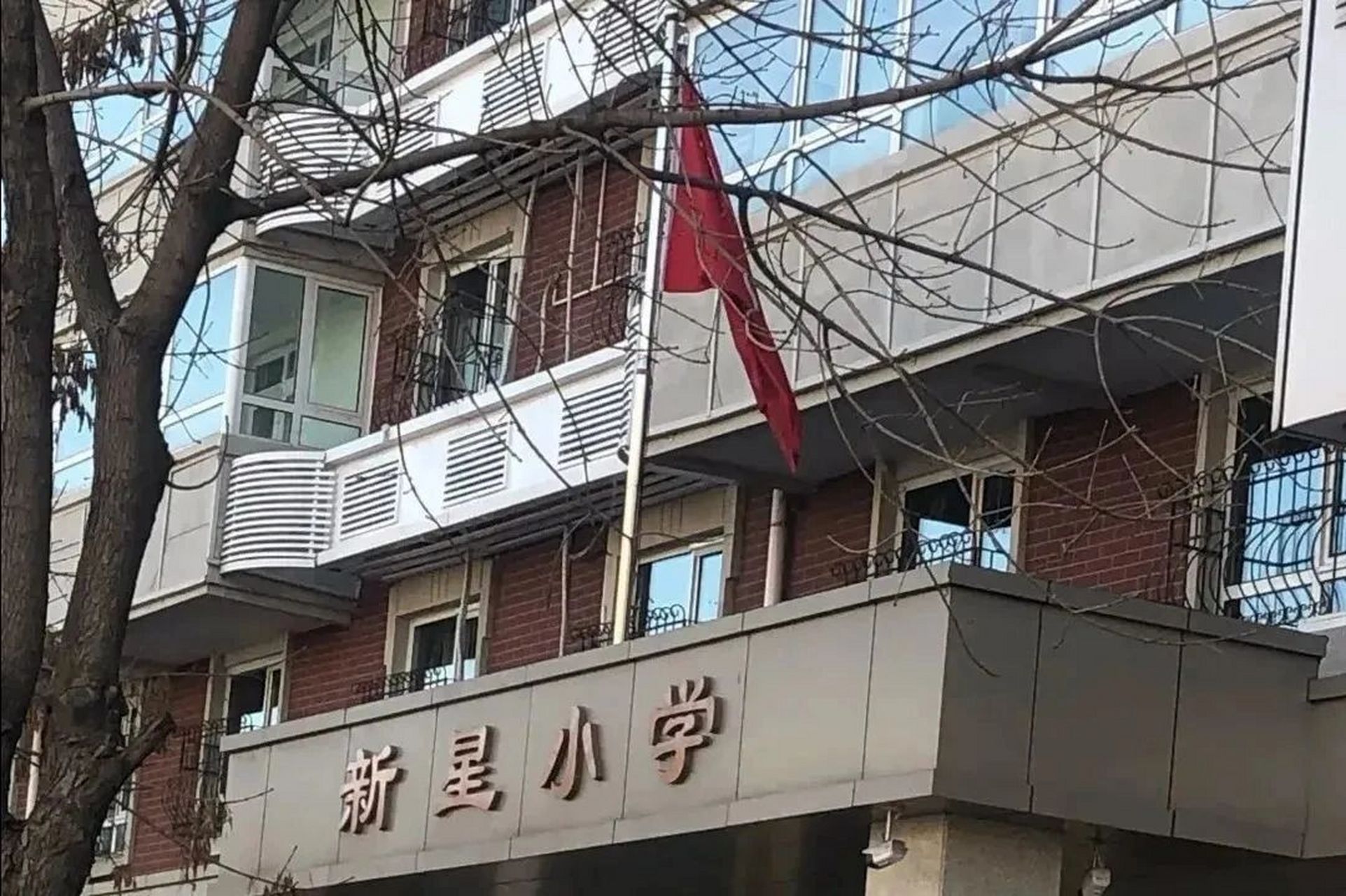 和平新星小学图片