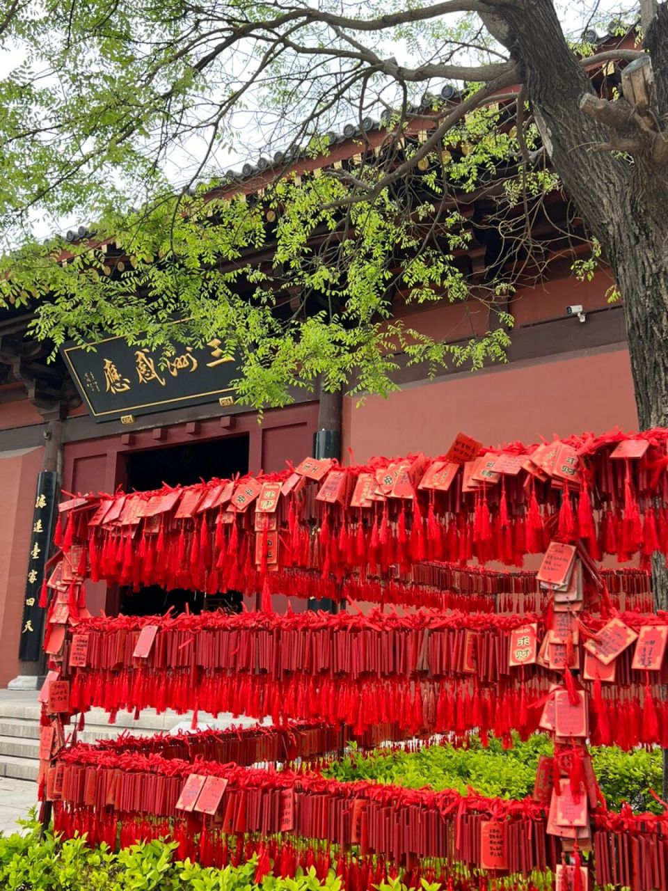 在天津很灵的寺庙🙏 许愿牌只需10💰 许愿牌和香都是10元 本来就