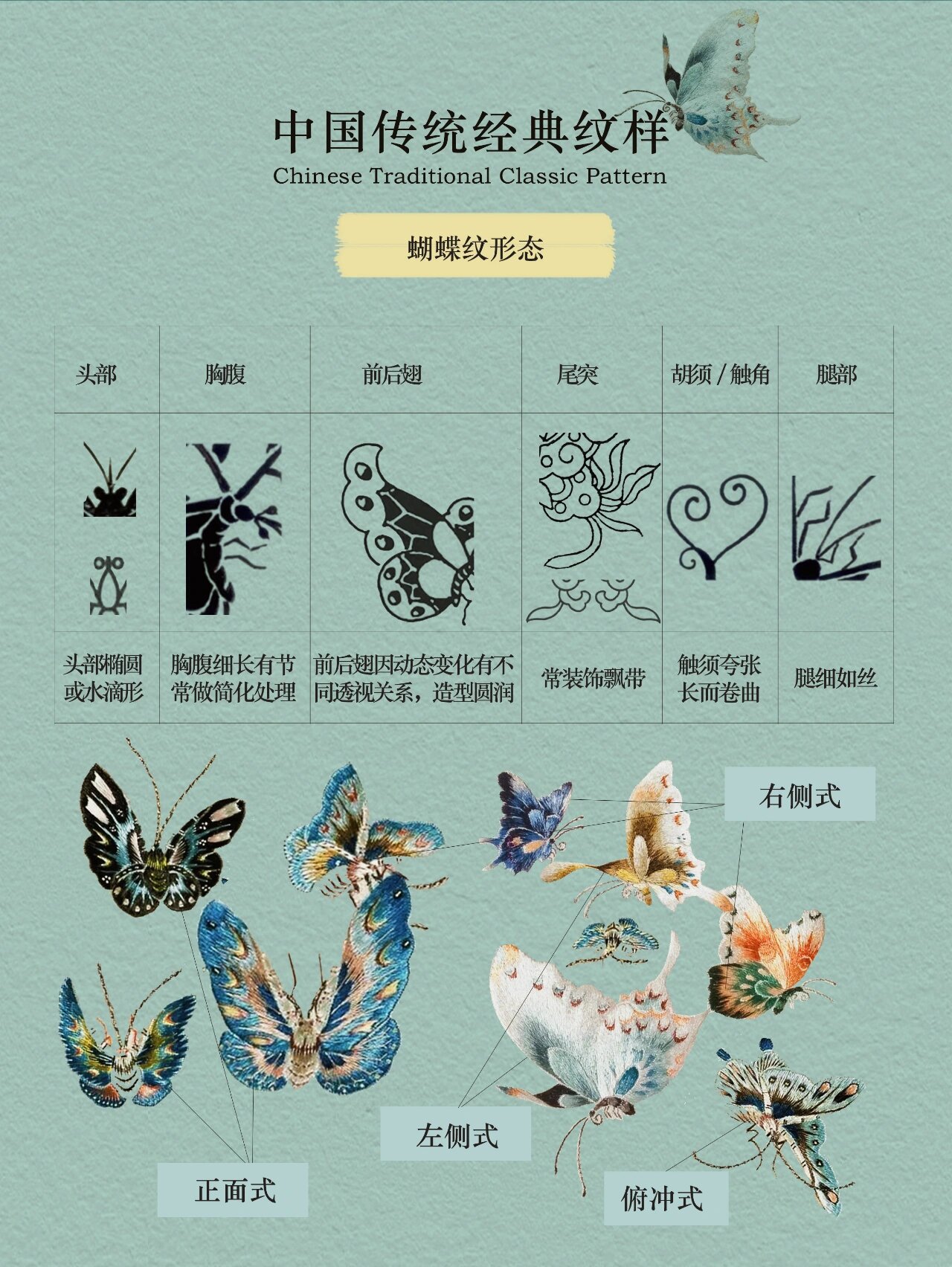 传承东方美学|经典蝴蝶纹形态及寓意