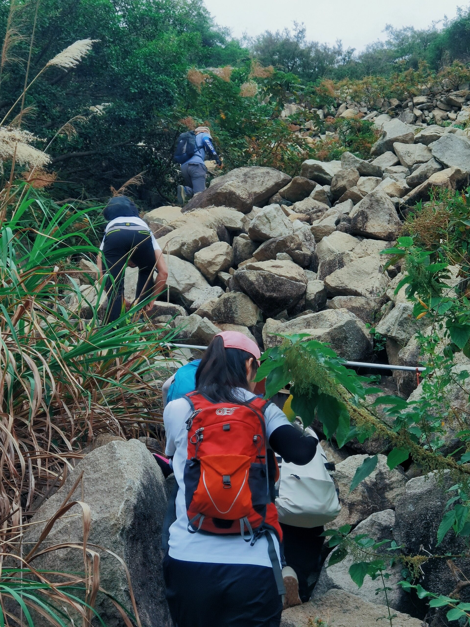 厦门岛内爬山图片