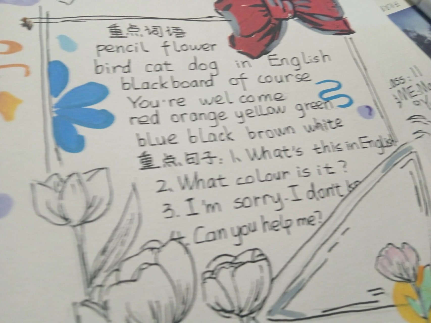 七年级上册英语手抄报