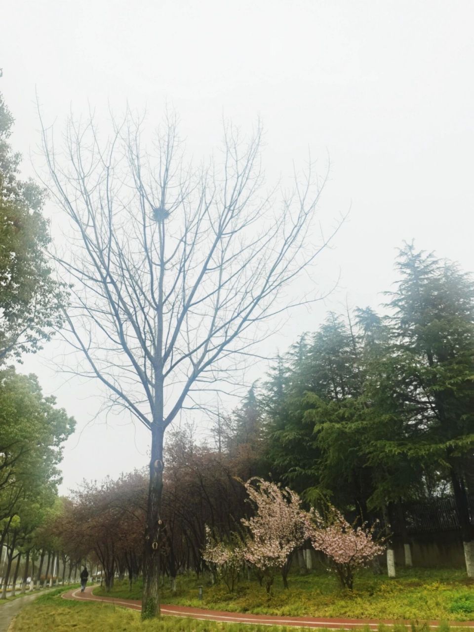 睡觉——小学生蕞重要的事 大家孩子都是几点睡的?