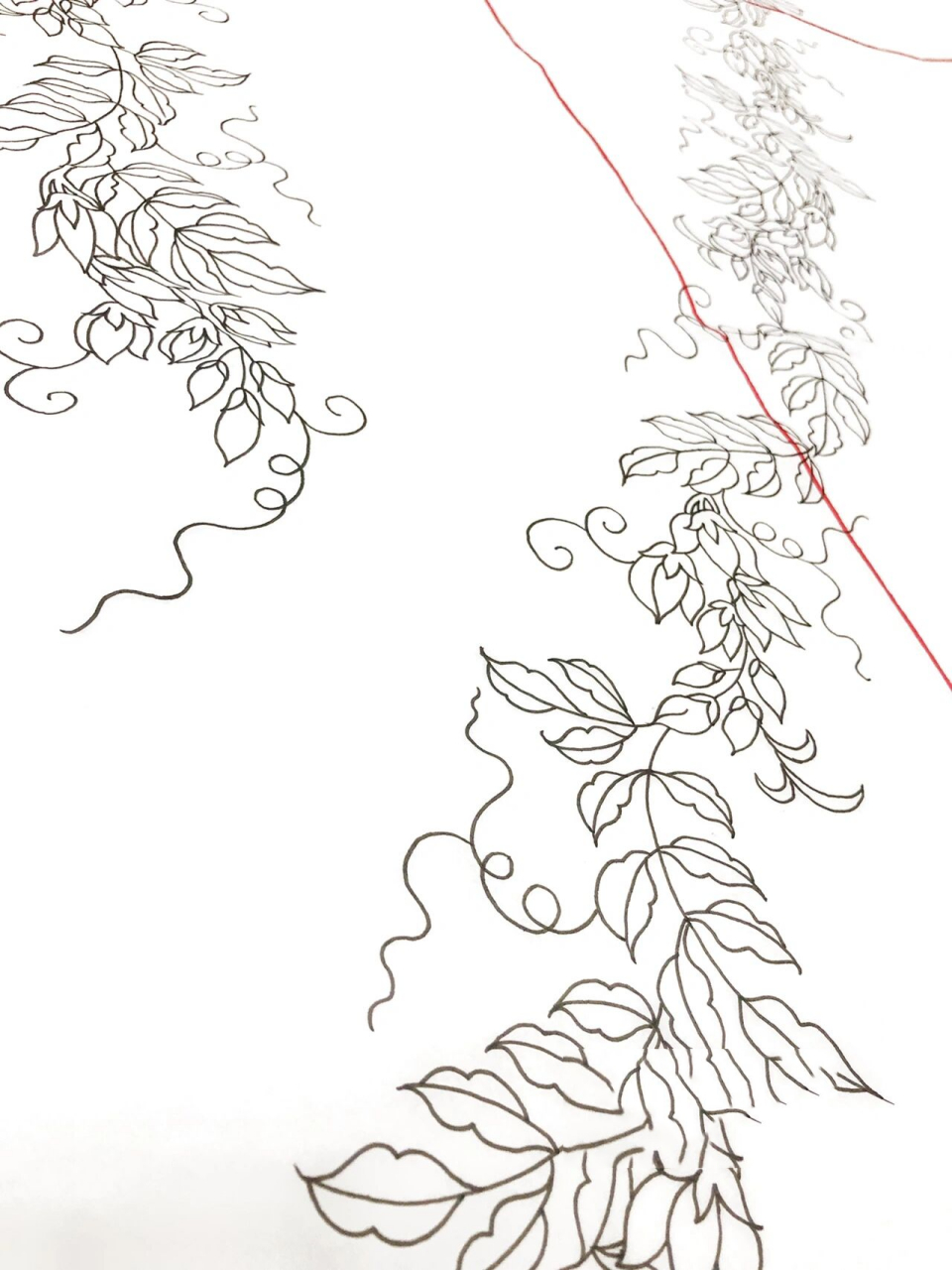 戏曲服饰纹样—藤萝花 今天画一件小生道袍,藤萝花的纹样.