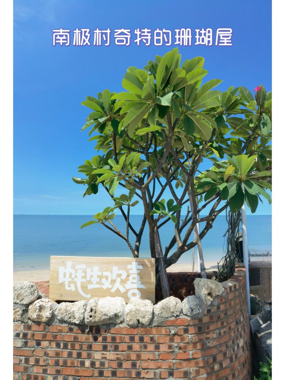 徐闻南极村奇特的珊瑚屋94 92 徐闻港是海上"丝绸之路"的始发港