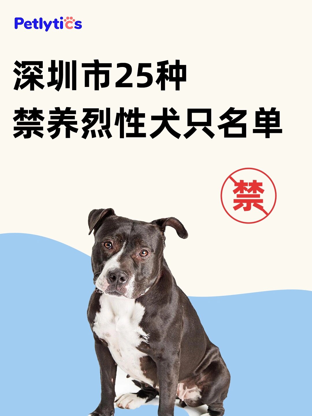 短毛烈性犬有哪些图片