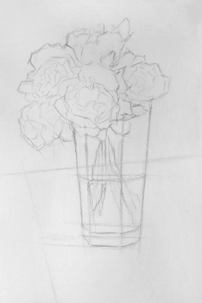 素描花卉-月季花