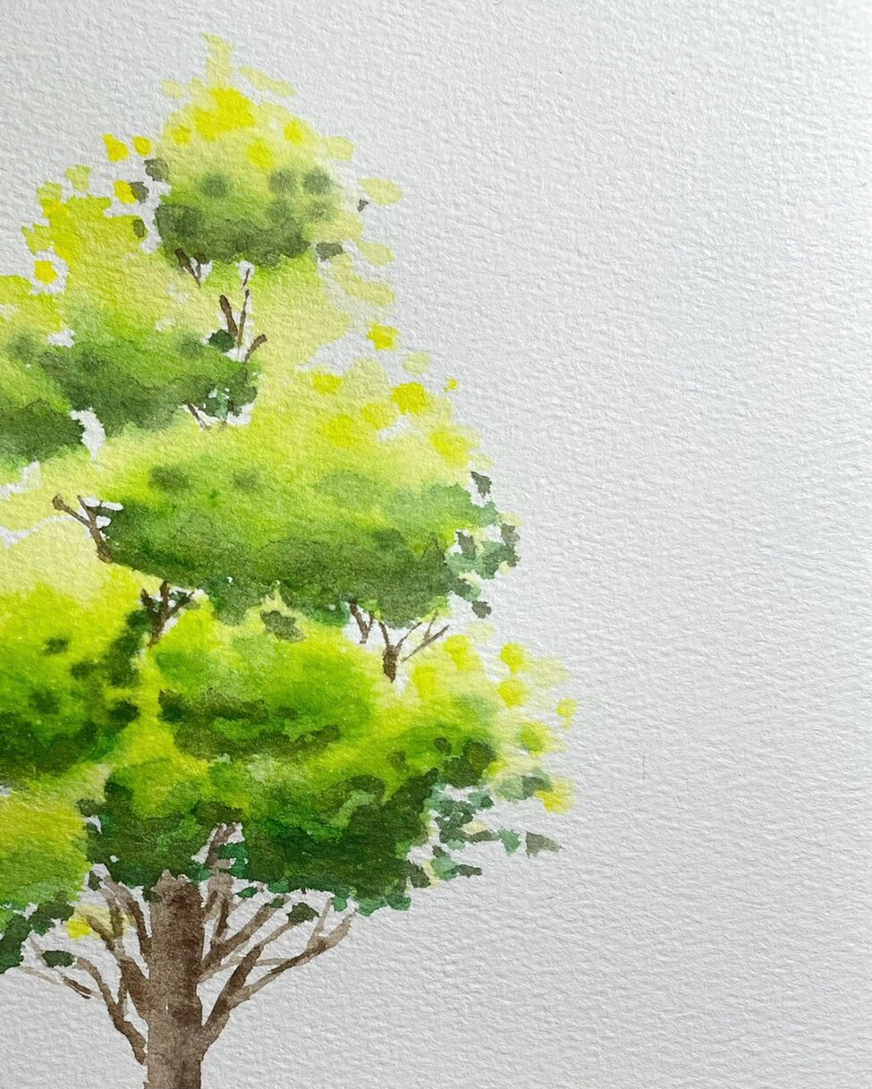 水彩系列———绿树成荫 第一次跟着视频画树99 喜欢这春意盎然的