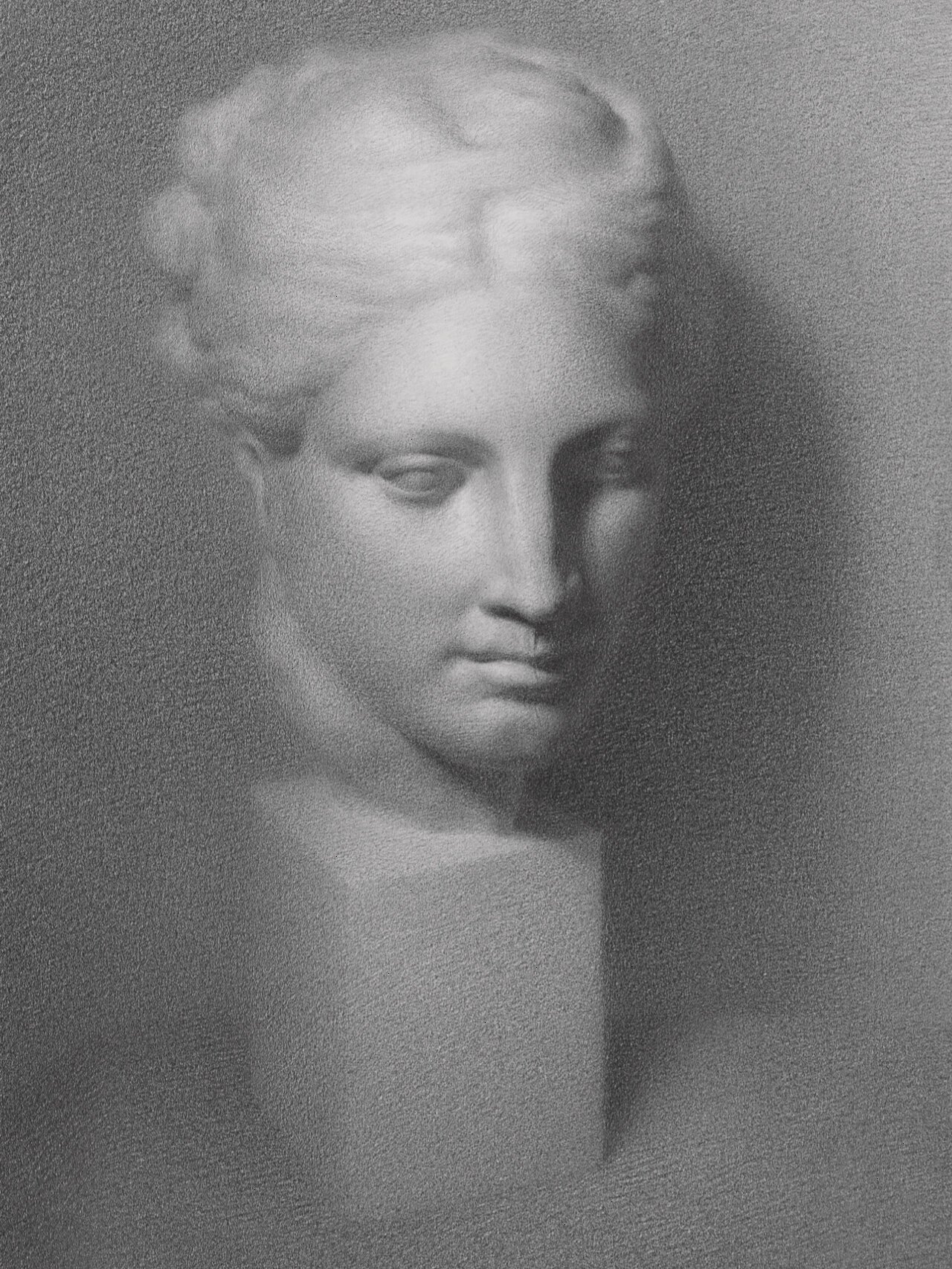 《麻脸维纳斯》素描石膏像