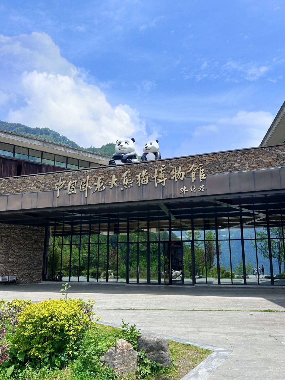 卧龙熊猫94基地真的完胜成都熊猫基地6015 99 卧龙中华大熊猫