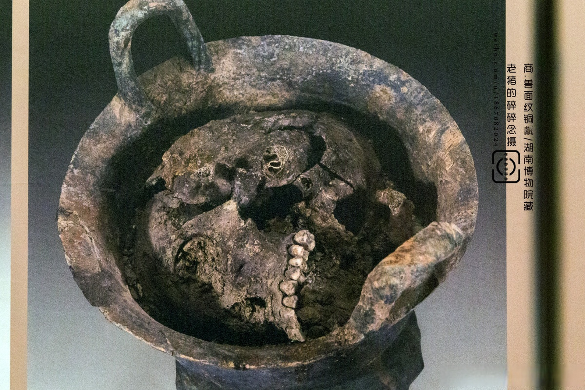 频频令人吓一跳文物-商代青铜甗 当清理到甗内,发现竟烹煮了一颗人头.