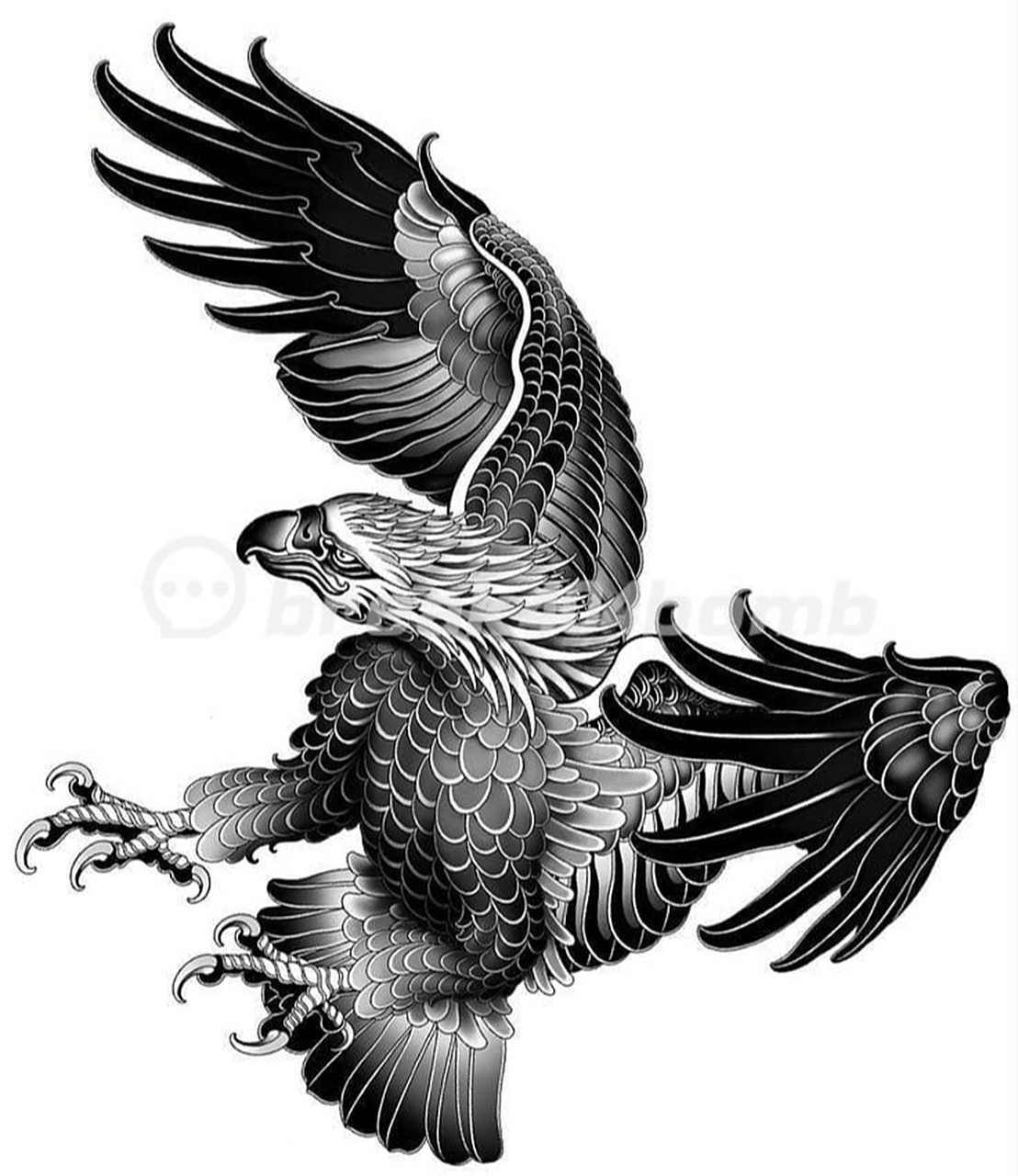 老鹰纹身丨男生纹身老鹰素材丨老鹰 老鹰纹身适合猛男上身.