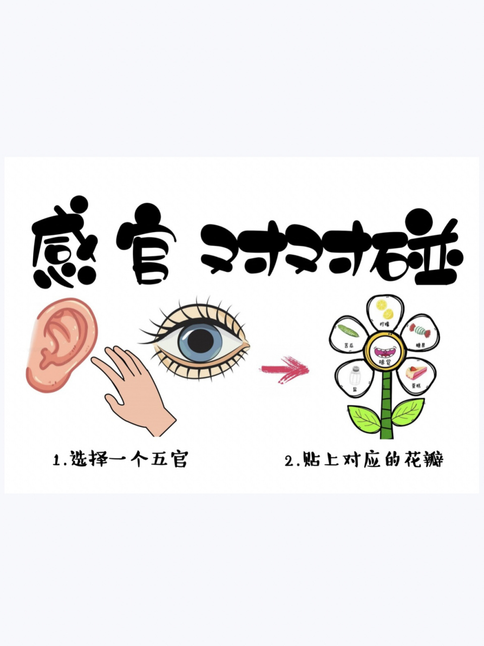小班区域 感官对对碰 打印素材
