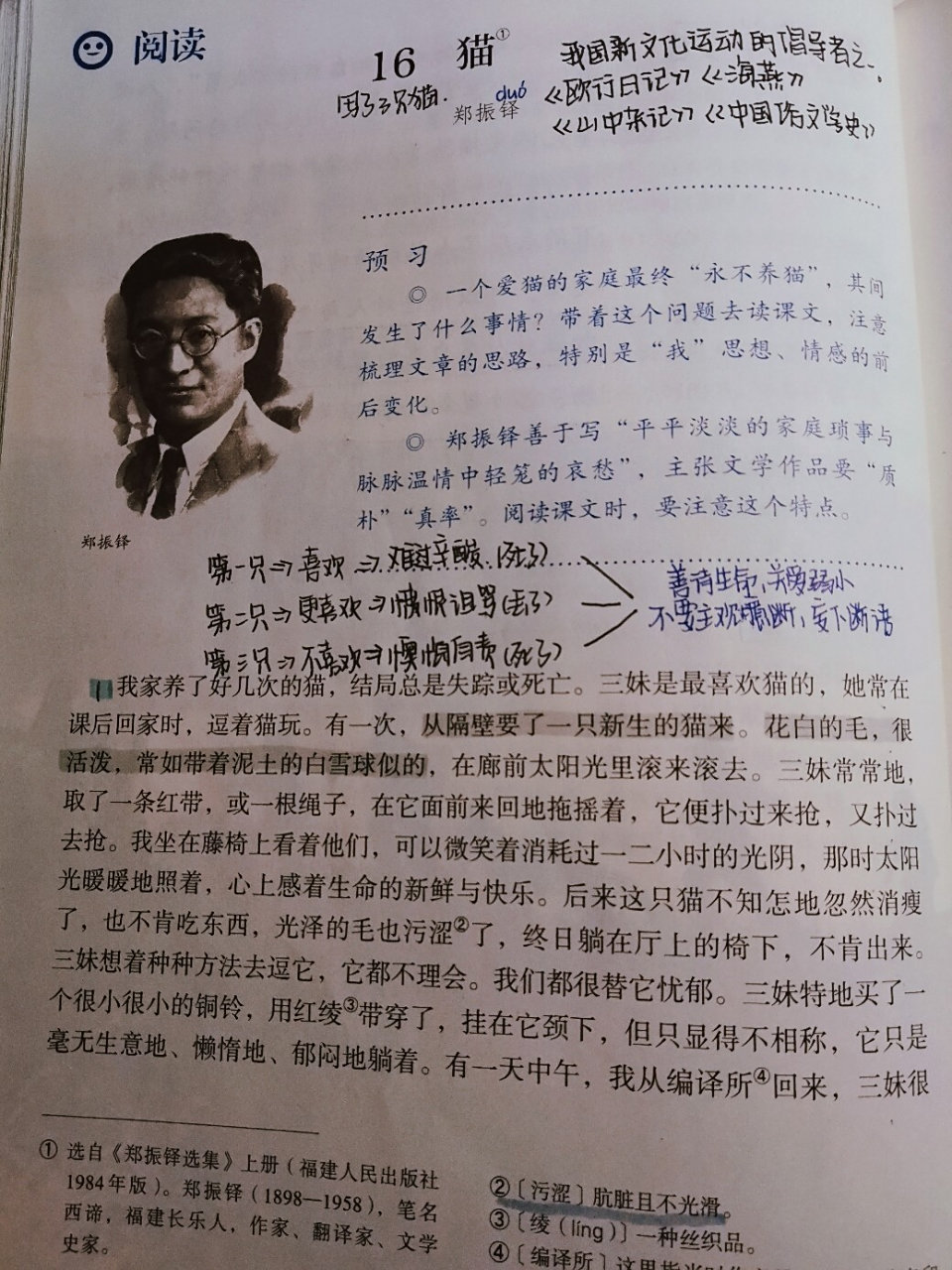 七上语文十六课笔记《猫》 更新笔记啦 7575本课重点 学习作者的"