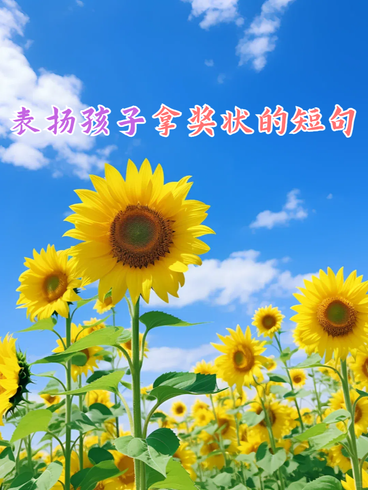 让我来分享一些赞美孩子们获得奖状的短句吧,让我们一起为他们的出色