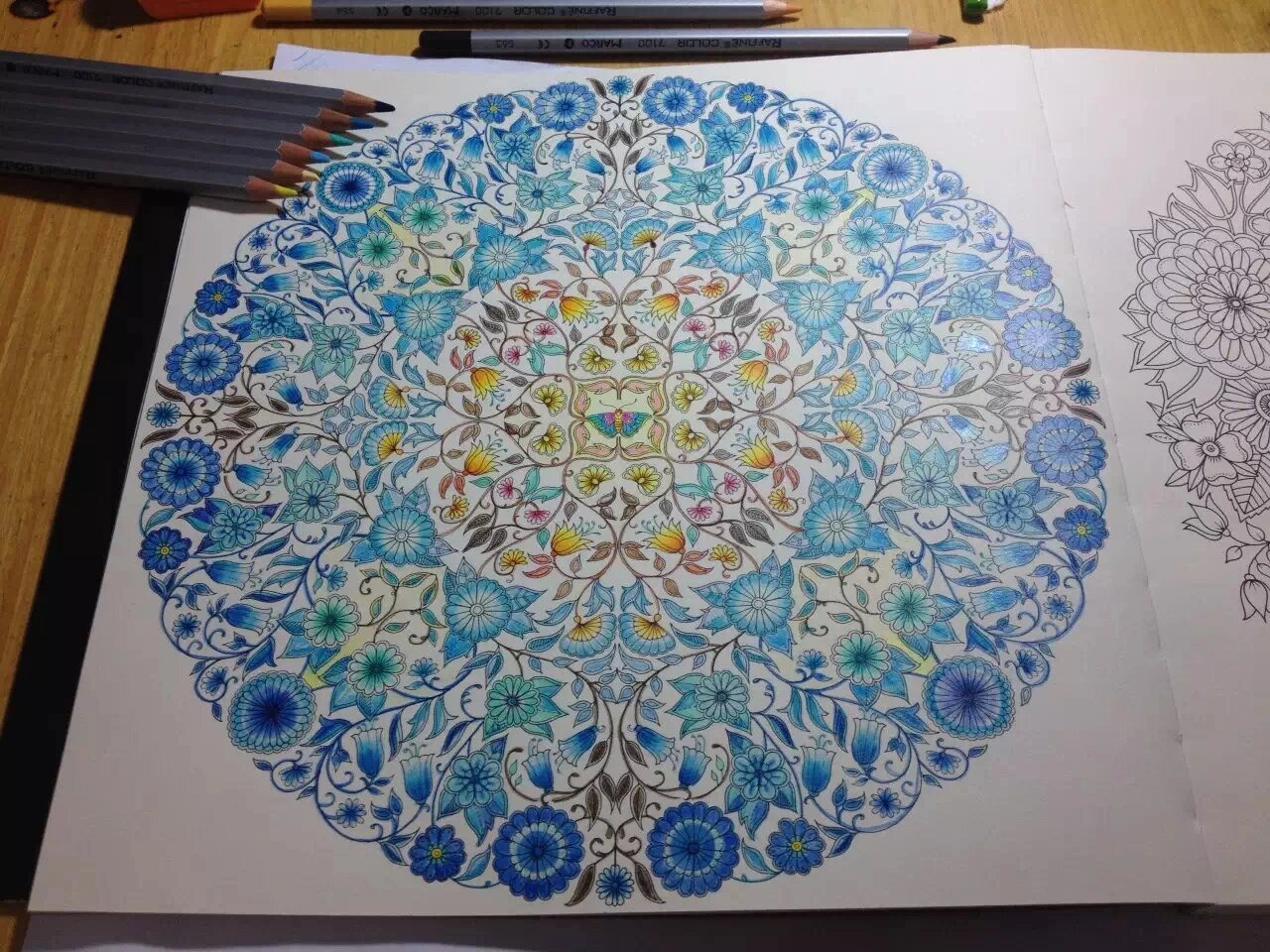 秘密花园涂色参照