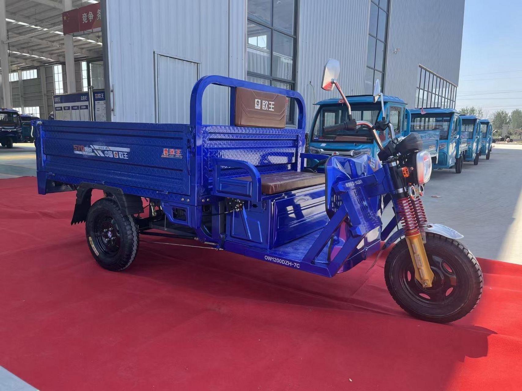 欧王坦克570电动三轮车,1.1×1.