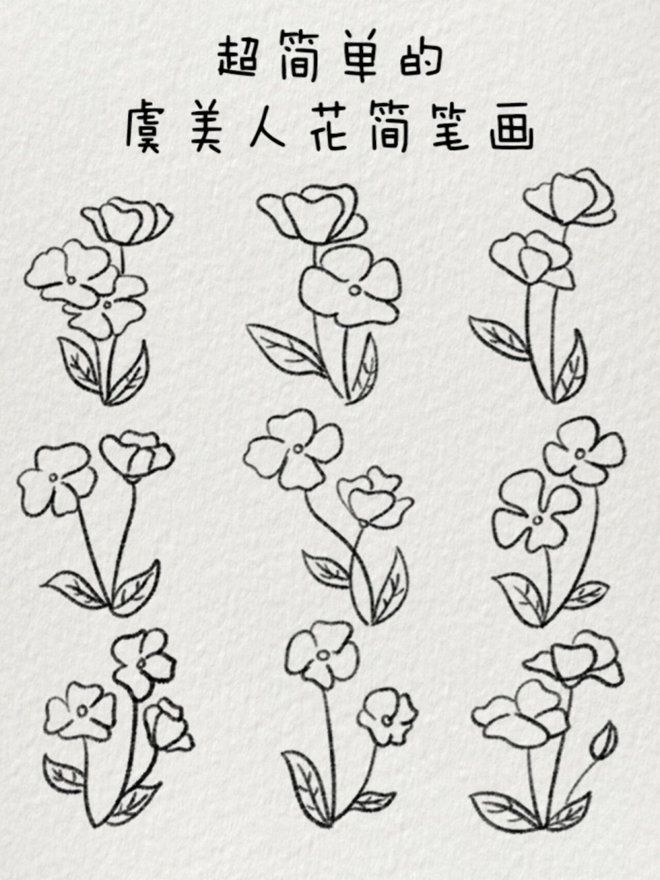 小花简笔画|虞美人花🌸 生命的高贵与卑微,本是相对的