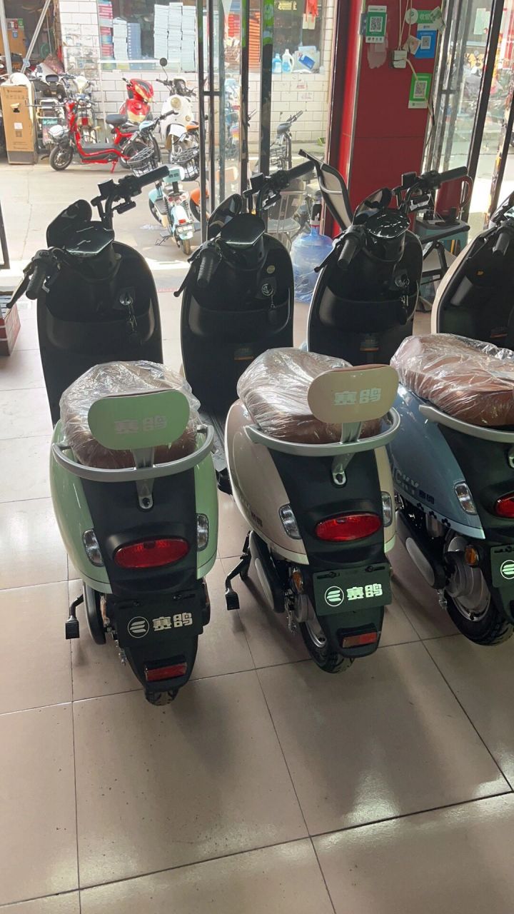 特价赛鸽电动车 电动车十大品牌,年销售额破百万辆,参加过19年国庆大