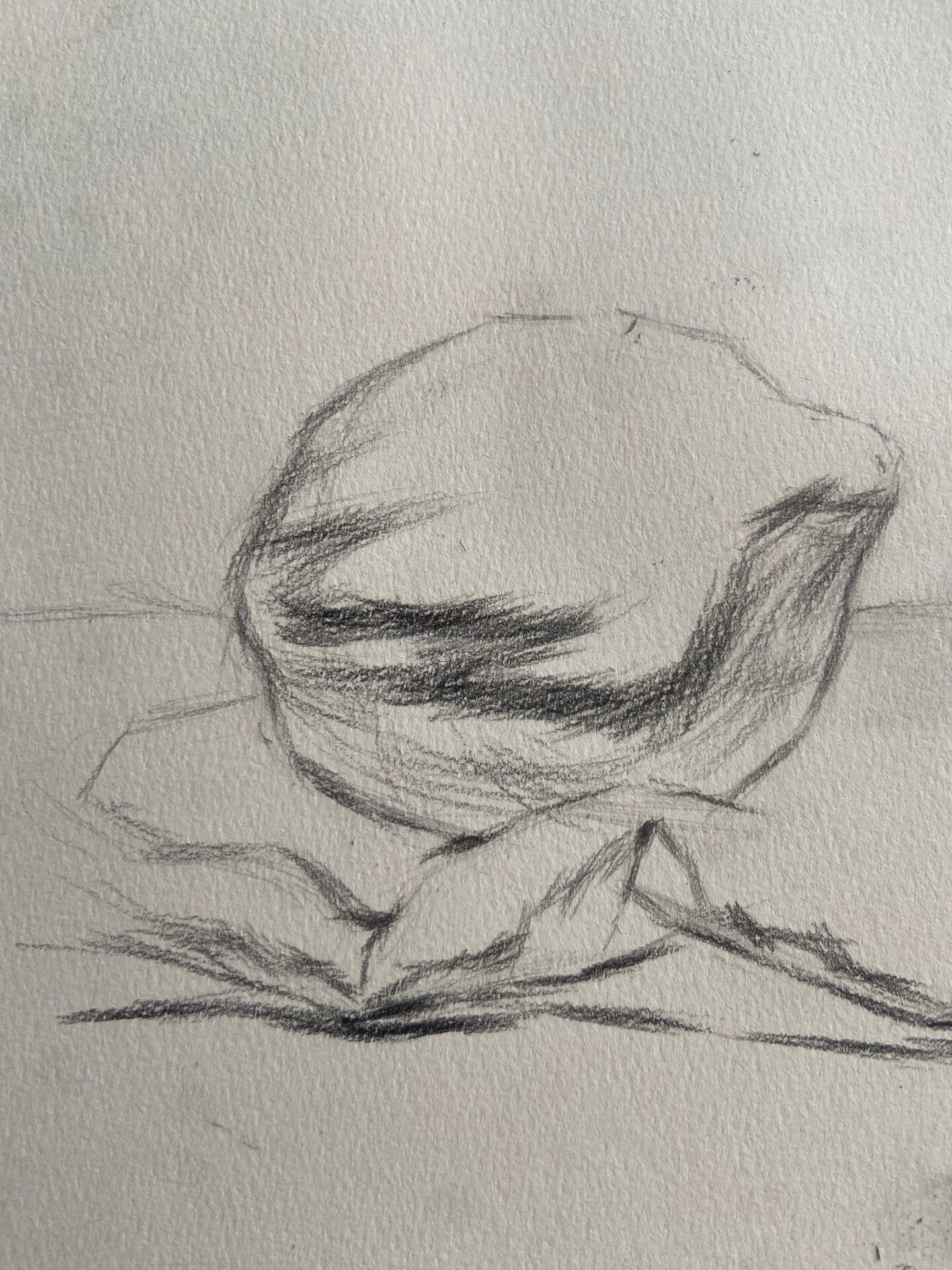 柠檬素描绘画步骤图