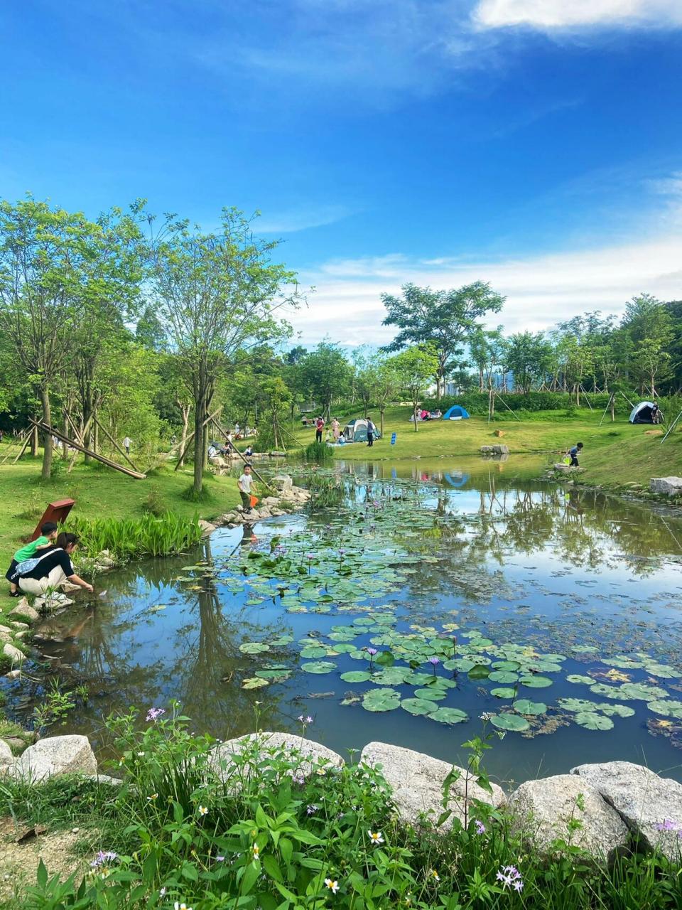 坂田公园不多,难得建一个大公园,还那么好玩,简直太赞啦!