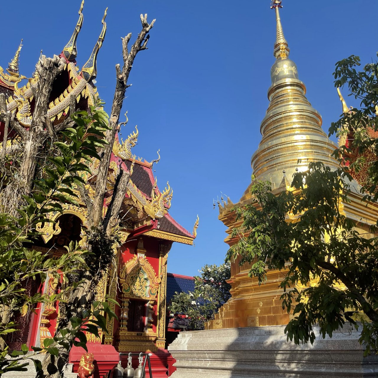 清迈-古巴杰士达  晚点写介绍给大家 最近在清迈欠了好多作业
