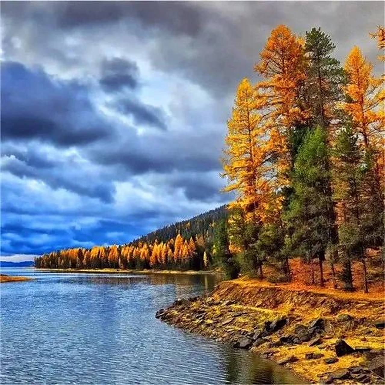 适合年龄大的头像 中老年人专属微信头像,快来看看吧 羡慕从不盲目