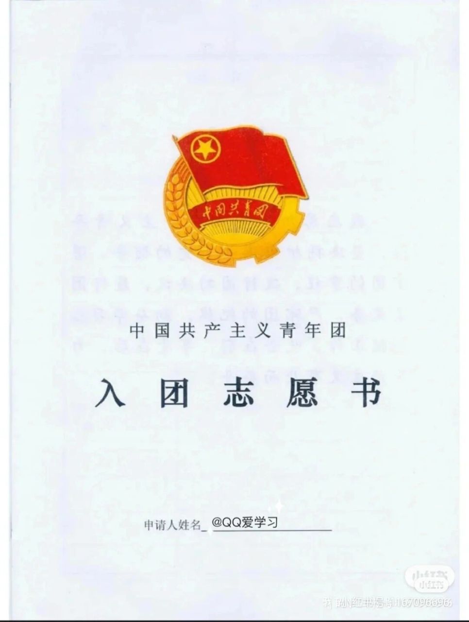 救命  入团志愿书找不到了怎么办  听说大学补办入党的话要三年以上